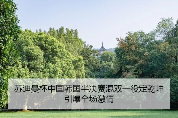 苏迪曼杯中国韩国半决赛混双一役定乾坤引爆全场激情